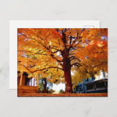 Autumn Tree photo by Mark Edward Westerfield ポストカード (正面/裏面)