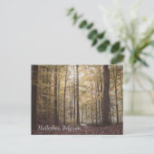 Autumn Trees, Hallerbos, Belgium ポストカード (スタンド正面)