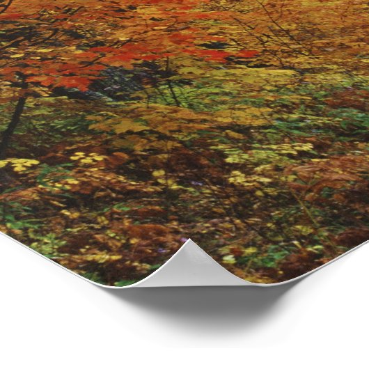 Autumn trees line roadway in Itasca State Park ポスター (角)