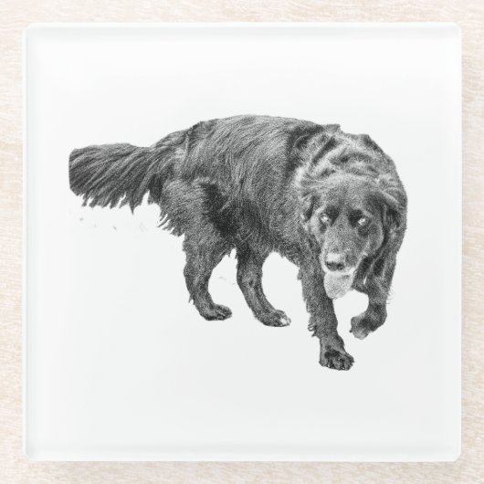 Autumn Watch Beneath the Leaves ガラスコースター (正面)