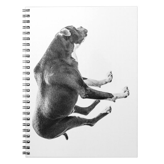 Autumn Watch Notes ノートブック (正面)