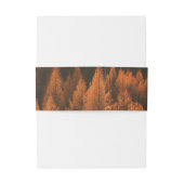 Autumn Woods Minimalist Belly Band 招待状ベリーバンド (裏面例)