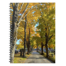 Autumn Yellow Path Spiral Notebook ノートブック