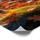 Autumn's Gentle Symphony ポスター (角)