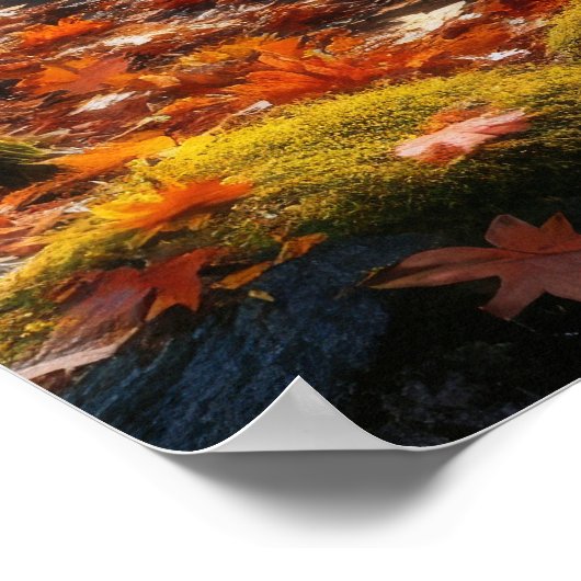 Autumn's Gentle Symphony ポスター (角)