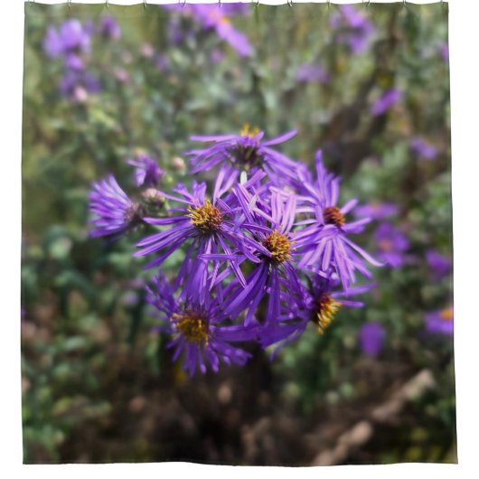 Autumn's Purple Glow シャワーカーテン (正面)