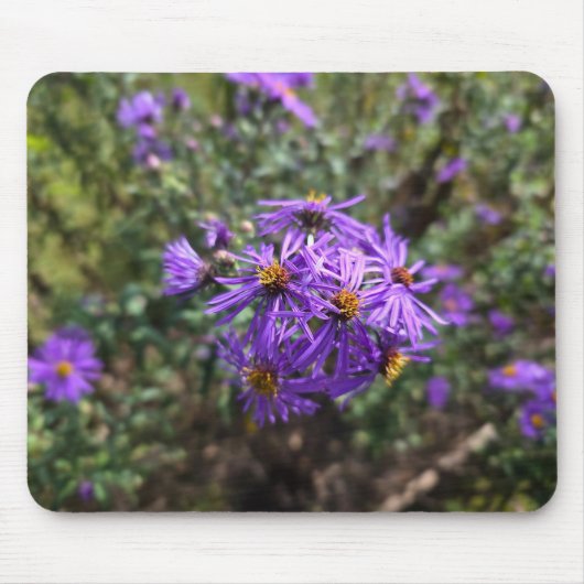 Autumn's Purple Glow マウスパッド (正面)