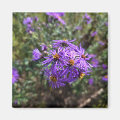 Autumn's Purple Glow マグネット (正面)