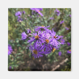 Autumn's Purple Glow マグネット