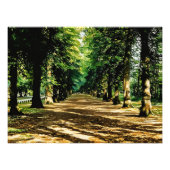 Autumn's Tree-Lined Tunnel フォトプリント (正面)