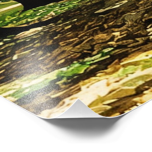 Autumn's Tree-Lined Tunnel フォトプリント (角)