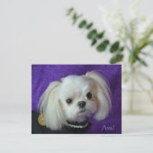 Avaのメッセージカード 招待状 (スタンド正面)