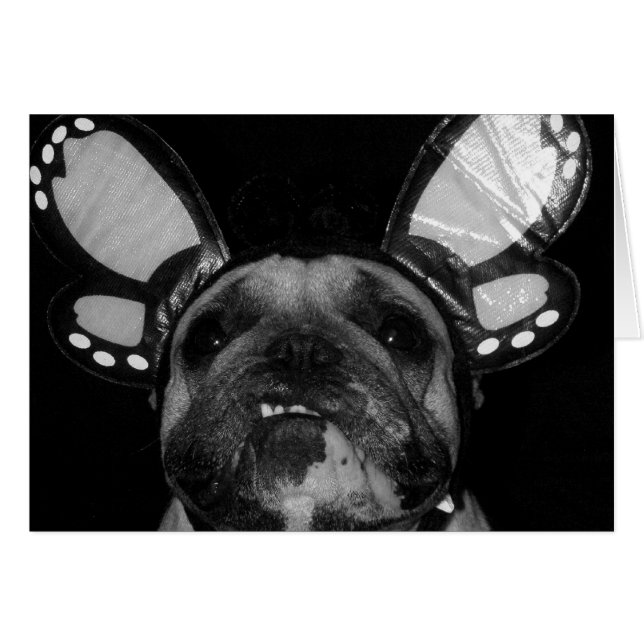 Avaの蝶カード (正面横)