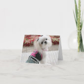 Avaノートカード カード (裏面)