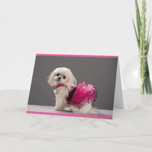 Avaノートカード カード (正面)