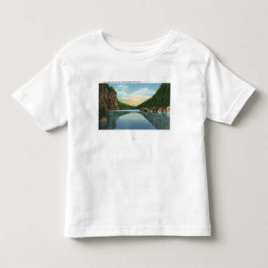 avalanche湖からの湖Coldenの眺め トドラーTシャツ (正面)