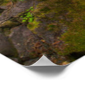 Avalanche Gorge In Glacier National Park ポスター (角)