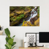 Avalanche Gorge In Glacier National Park ポスター (ホームオフィス)