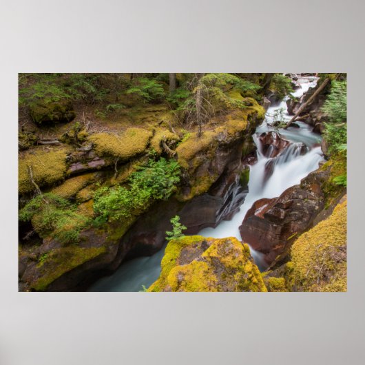 Avalanche Gorge In Glacier National Park ポスター (正面)