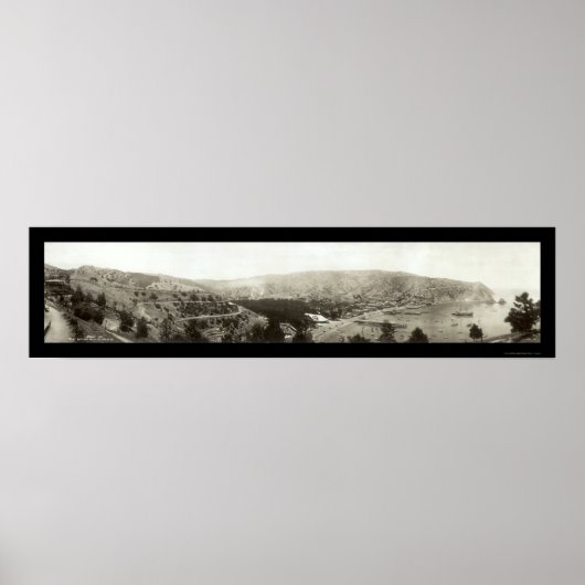 Avalon, CA Catalina Island写真1910 ポスター (正面)