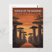 Avenue of the Baobabs Madagascar African Nature ポストカード (正面/裏面)