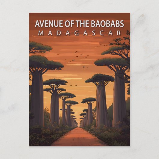 Avenue of the Baobabs Madagascar African Nature ポストカード (正面)
