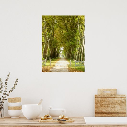 Avenue of Treesポスター ポスター (キッチン)