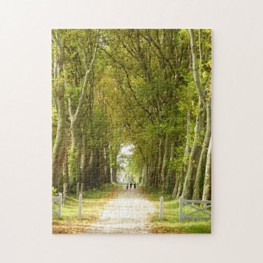 Avenue of Trees写真パズルとギフトボックス ジグソーパズル (縦)