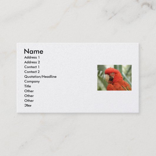 Averyの名刺 名刺 (正面)