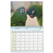 Avian Avenue 2026 Parrot Calendar カレンダー (2月 2027)