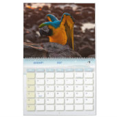 Avian Avenue 2026 Parrot Calendar カレンダー (1月 2027)