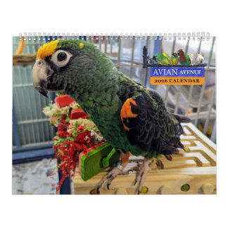 Avian Avenue 2026 Parrot Calendar カレンダー