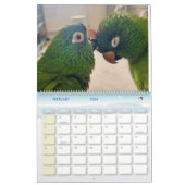 Avian Avenue 2026 Parrot Calendar カレンダー (2月 2026)