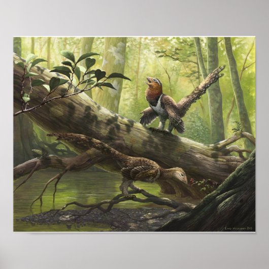 Avian Balaur bondoc ポスター (正面)