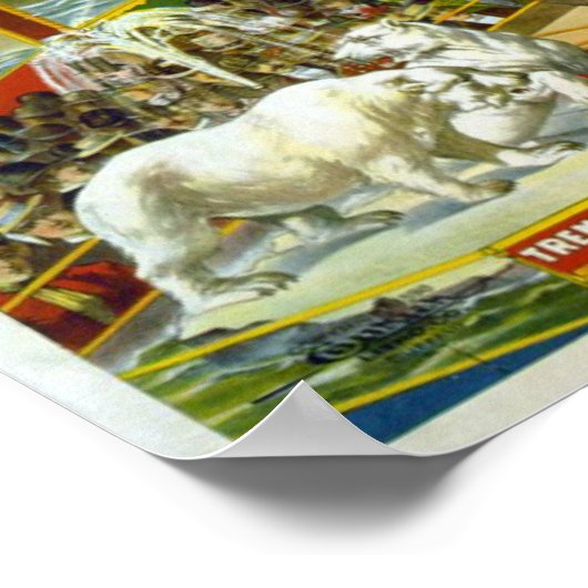 Aviary & Aquarium ポスター (角)