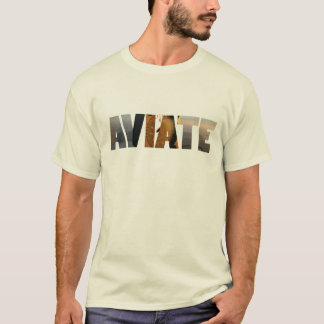 Aviateのワイシャツ Tシャツ