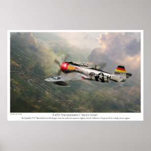 Aviation Art Poster "P-47D Thunderbolt "Sauy Sus" ポスター