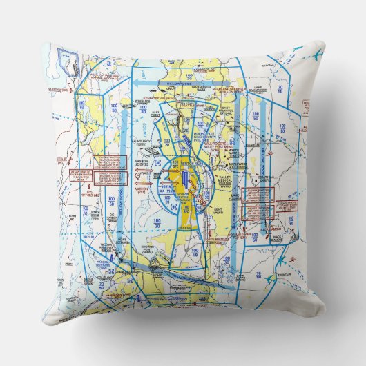 Aviation Chart クッション (裏面)