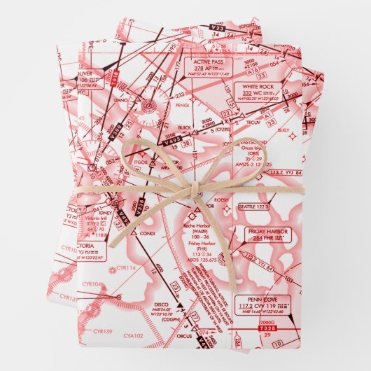 Aviation Chart ラッピングペーパーシート (インサイチュ)