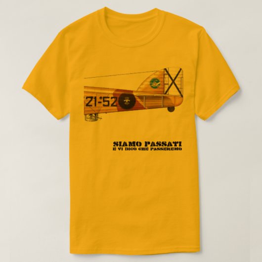 AVIAZIONE LEGIONARIA Tシャツ (デザイン正面)