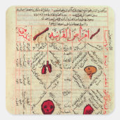 Avicennaの「医学の規範」より スクエアシール (正面)