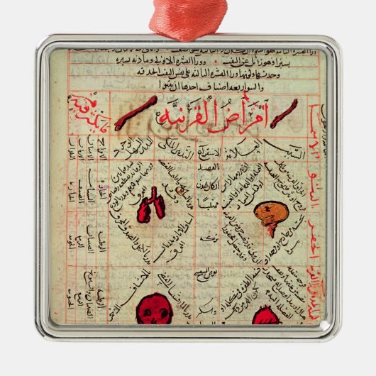 「Avicenna著薬のキャノン」からのページ メタルオーナメント (正面)