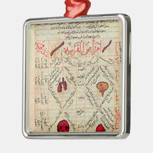 「Avicenna著薬のキャノン」からのページ メタルオーナメント (左)