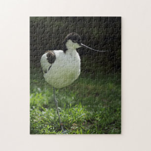 Avocet ジグソーパズル