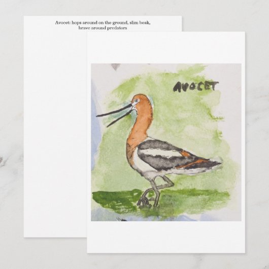 Avocet Greeting Card 招待状 (正面/裏面)