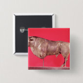 Avrigneyからの3つの角が付いているBull、 缶バッジ (正面&裏面)