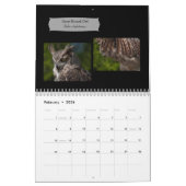 Awesome Birds of Prey 2026 photo calendar カレンダー (2月 2026)
