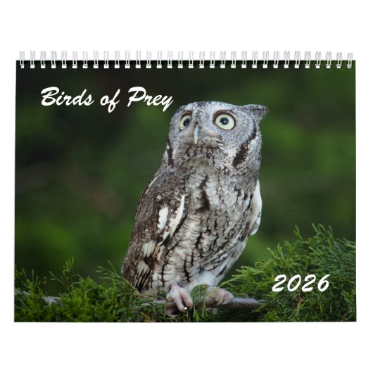 Awesome Birds of Prey 2026 photo calendar カレンダー (カバー)