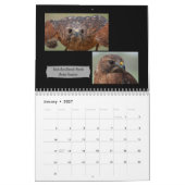 Awesome Birds of Prey 2026 photo calendar カレンダー (1月 2027)