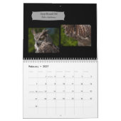 Awesome Birds of Prey 2026 photo calendar カレンダー (2月 2027)